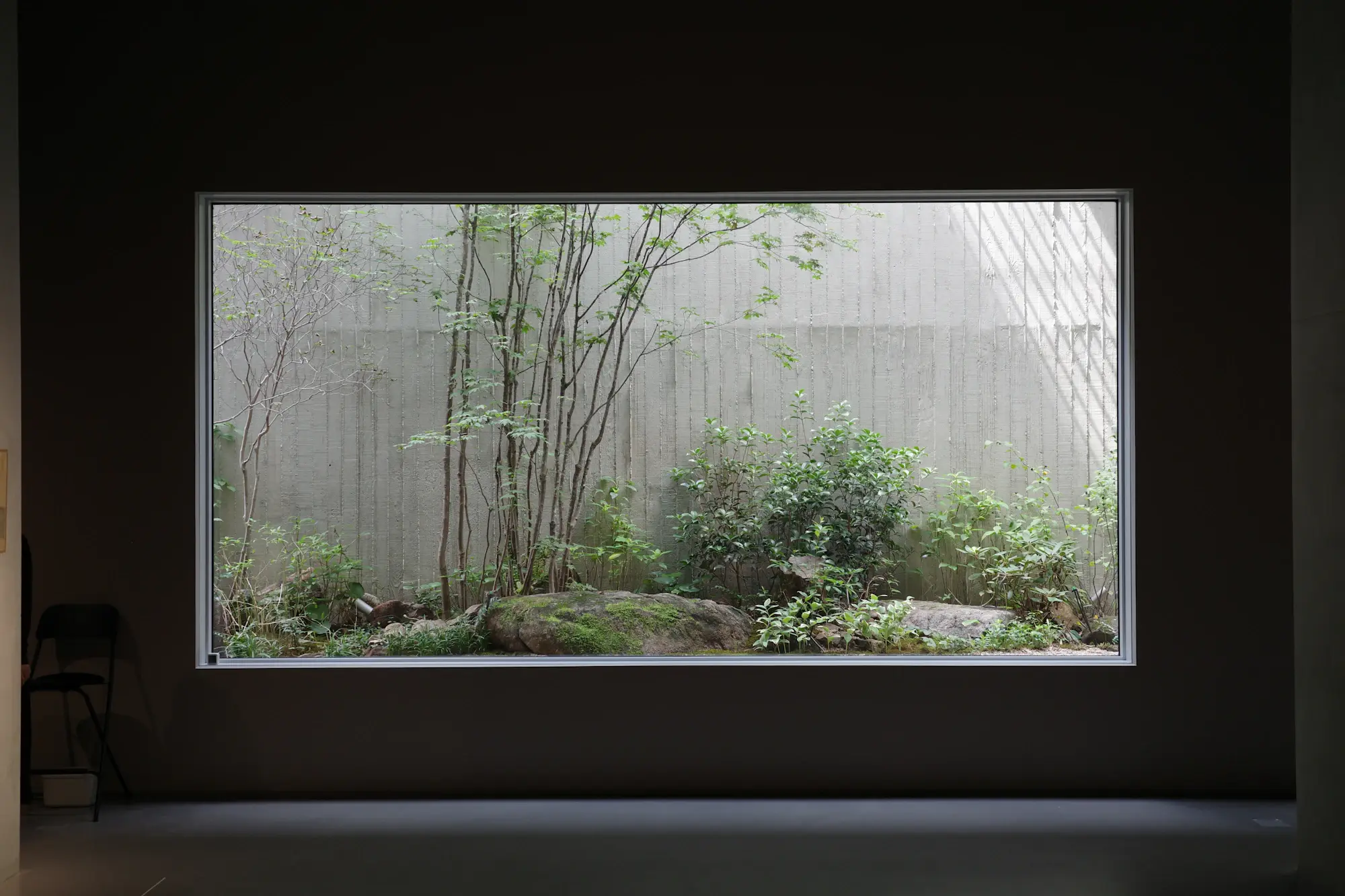 A low window framing a quiet moss garden